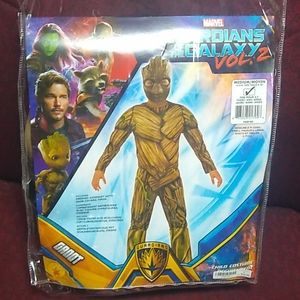 Marvel Guardian of the Galaxy Costume